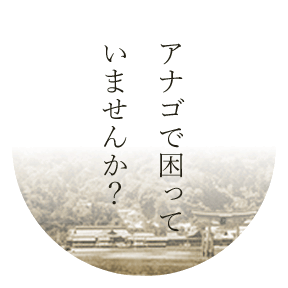 アナゴで困っていませんか？